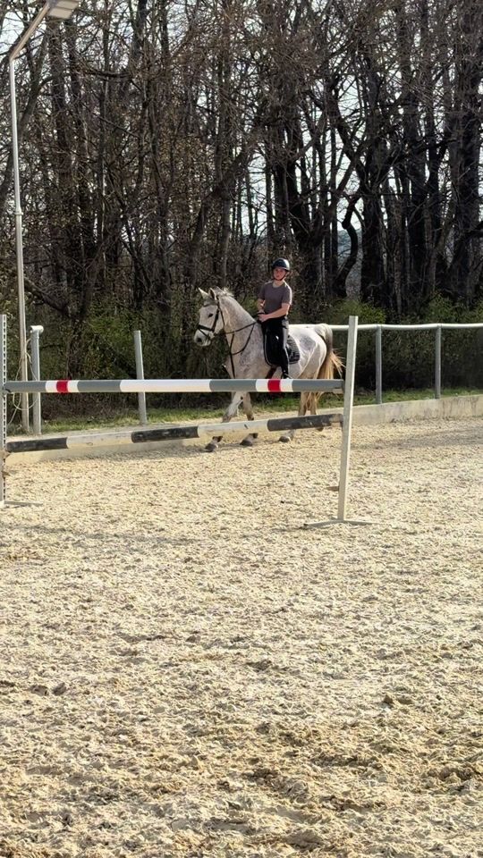 TikTok video thumbnail by adina.showjumping