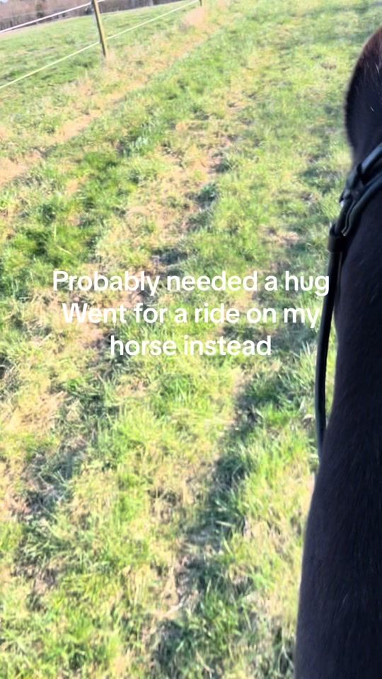 TikTok video thumbnail by cm_dressage
