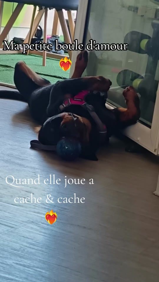 TikTok video thumbnail by kynaflo_974