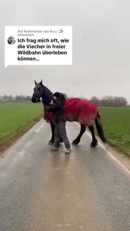 TikTok video thumbnail by xlisahex