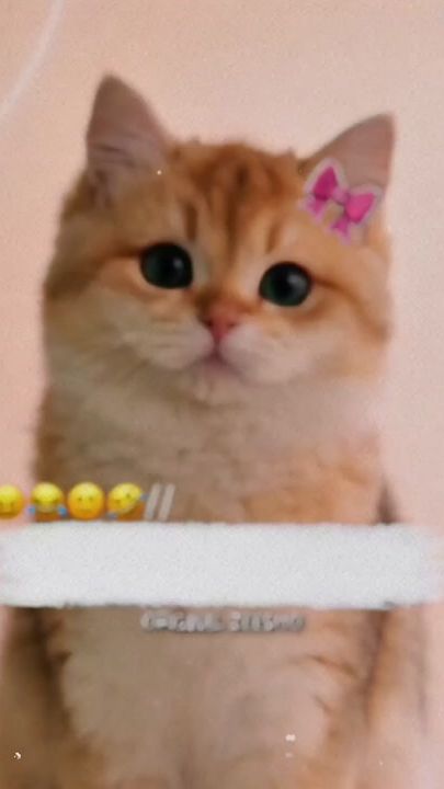 TikTok video thumbnail by original_zeesho