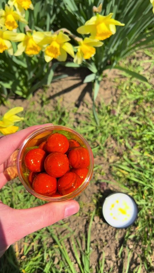 TikTok video thumbnail by ddcarpbaits