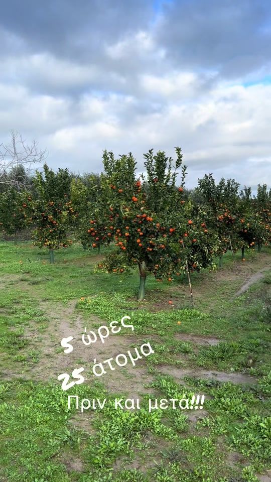 TikTok video thumbnail by makis.prassas