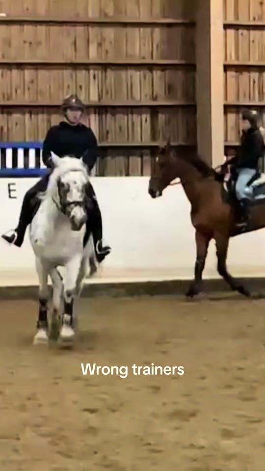 TikTok video thumbnail by mh_equestrian