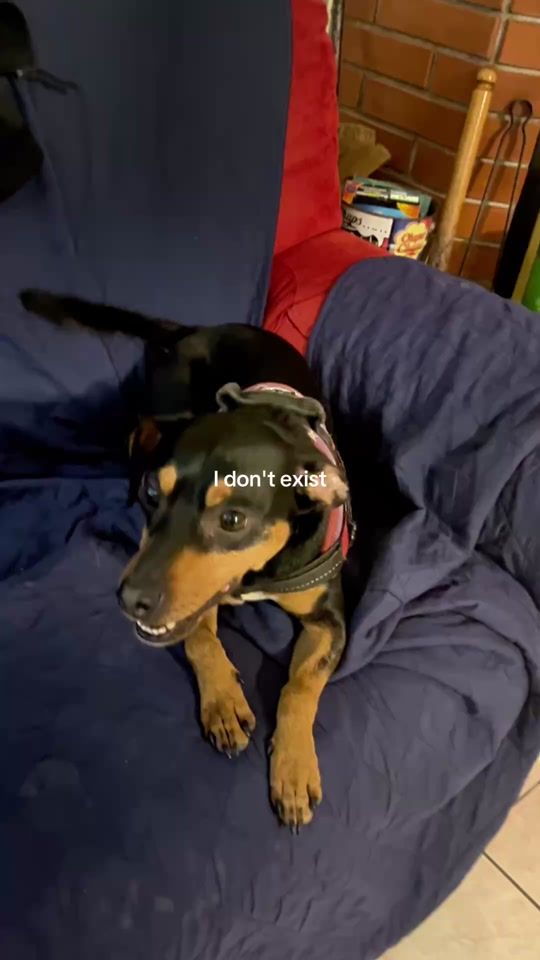 TikTok video thumbnail by chiara.angellozzi