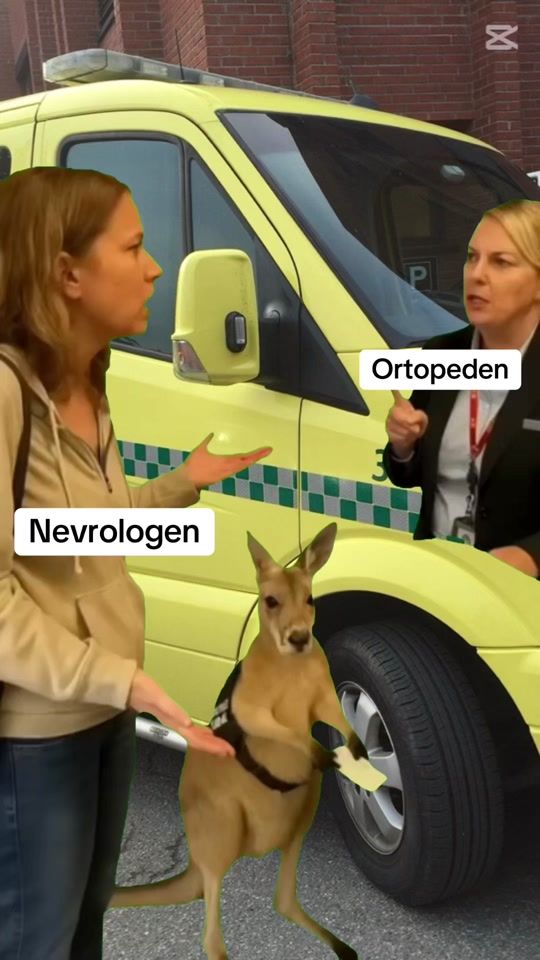 TikTok video thumbnail by ambulansememes