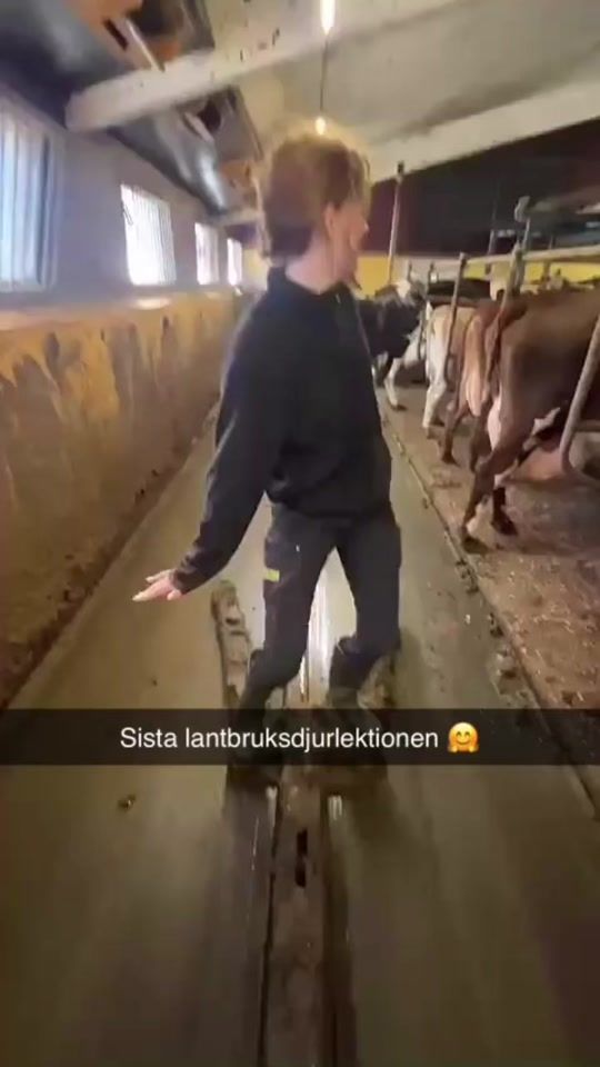 TikTok video thumbnail by hedv1g