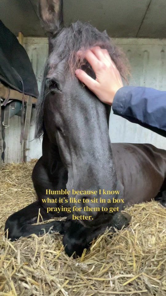TikTok video thumbnail by s.q_equipe