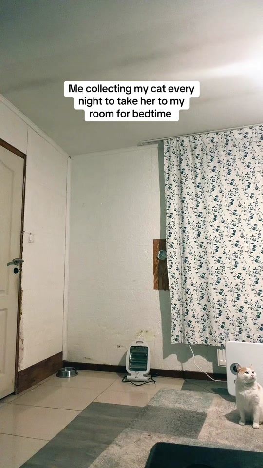TikTok video thumbnail by lusidimitrow