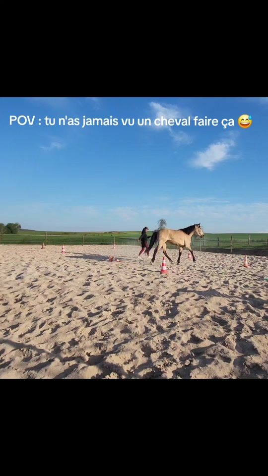 TikTok video thumbnail by ubac_dao