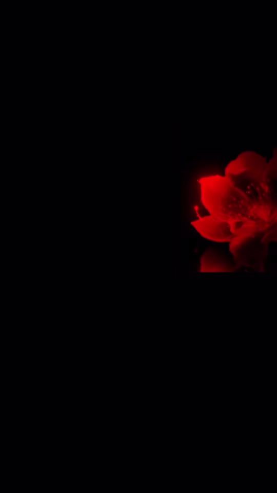 TikTok video thumbnail by rss.roby