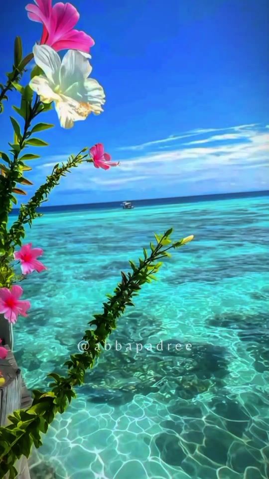TikTok video thumbnail by abba.padree