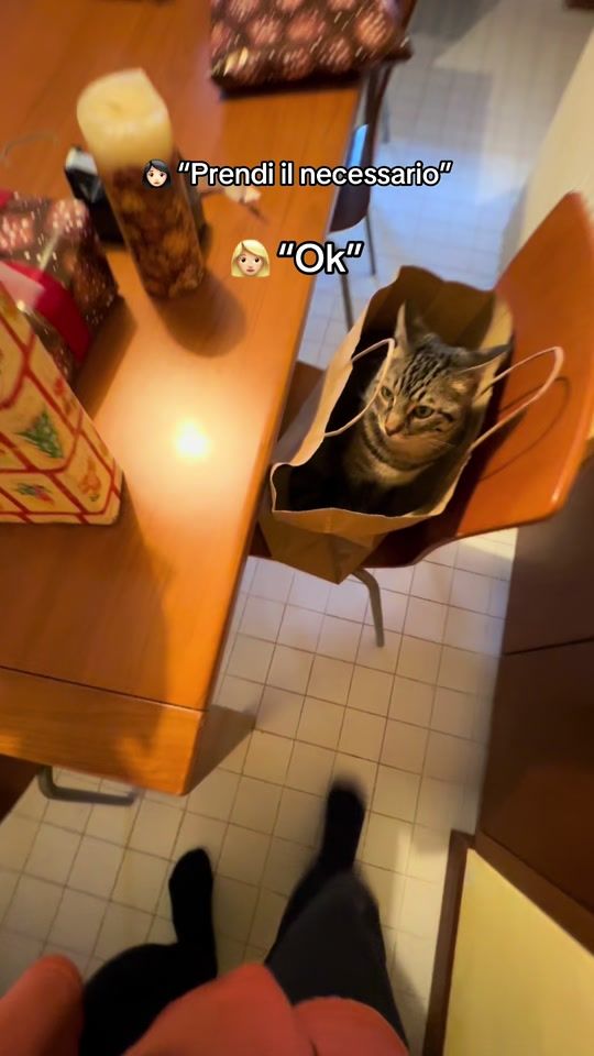 TikTok video thumbnail by noccccioline