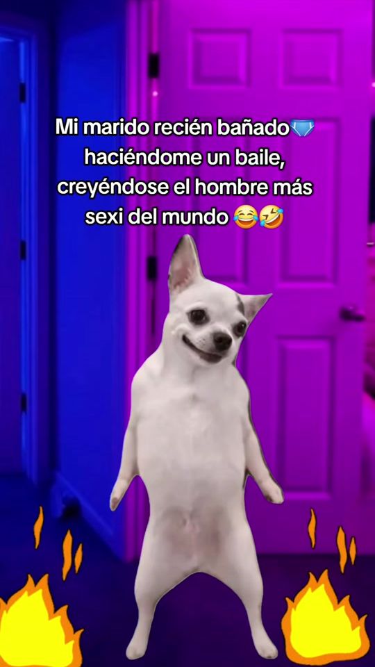 TikTok video thumbnail by dulceybella_