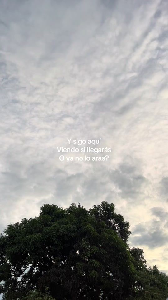 TikTok video thumbnail by nature.1499