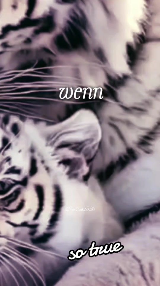 TikTok video thumbnail by hunteroneel01