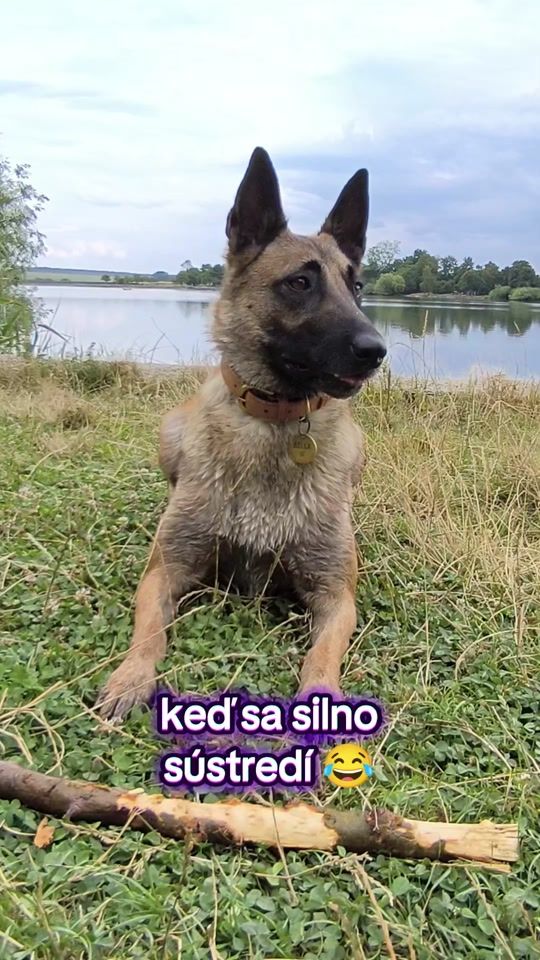TikTok video thumbnail by lida.bella