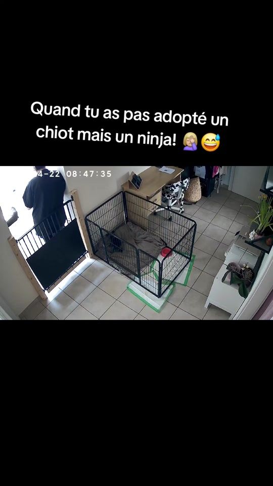 TikTok video thumbnail by ulysse_uryan