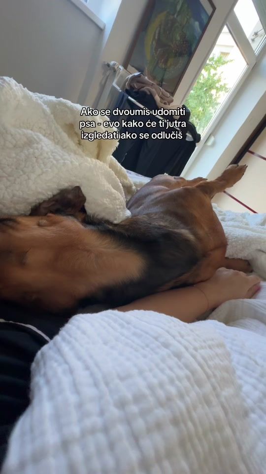 TikTok video thumbnail by dunjasai