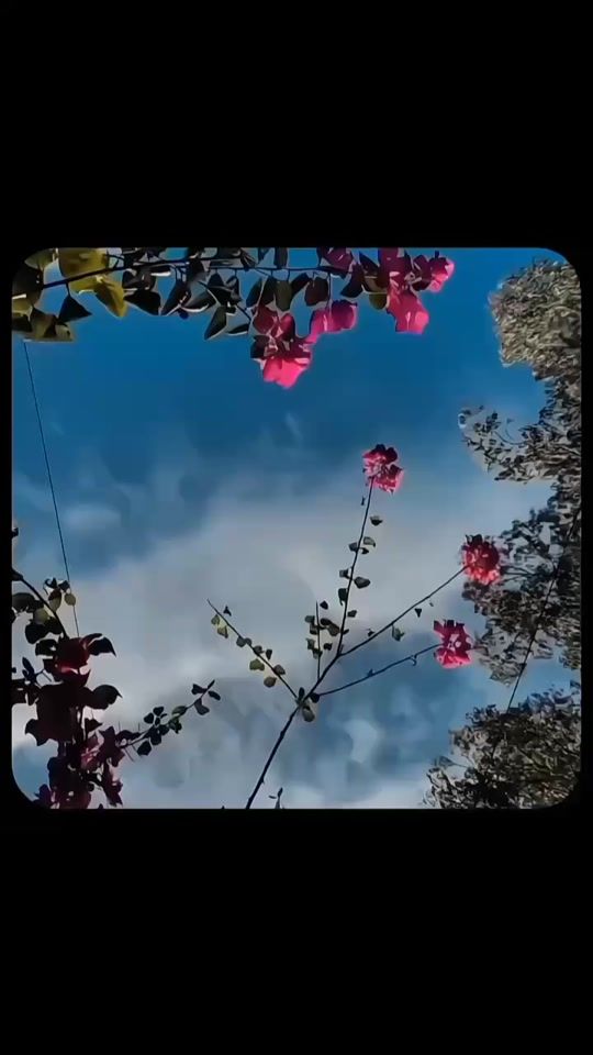 TikTok video thumbnail by heeraesthatic