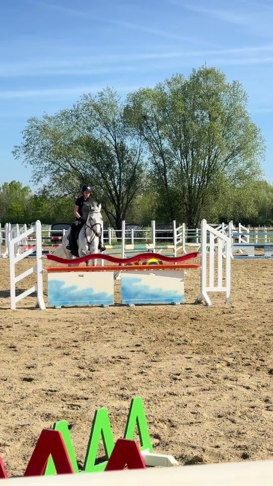 TikTok video thumbnail by stella_showjumping_