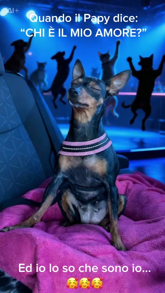 TikTok video thumbnail by chanelpinscher