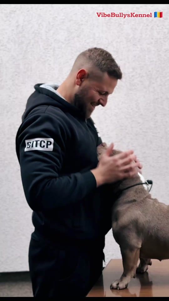 TikTok video thumbnail by vibe.bullys.kennel