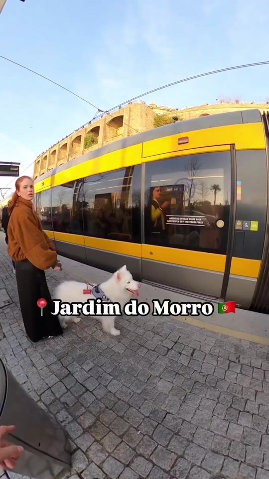 TikTok video thumbnail by ney.photo