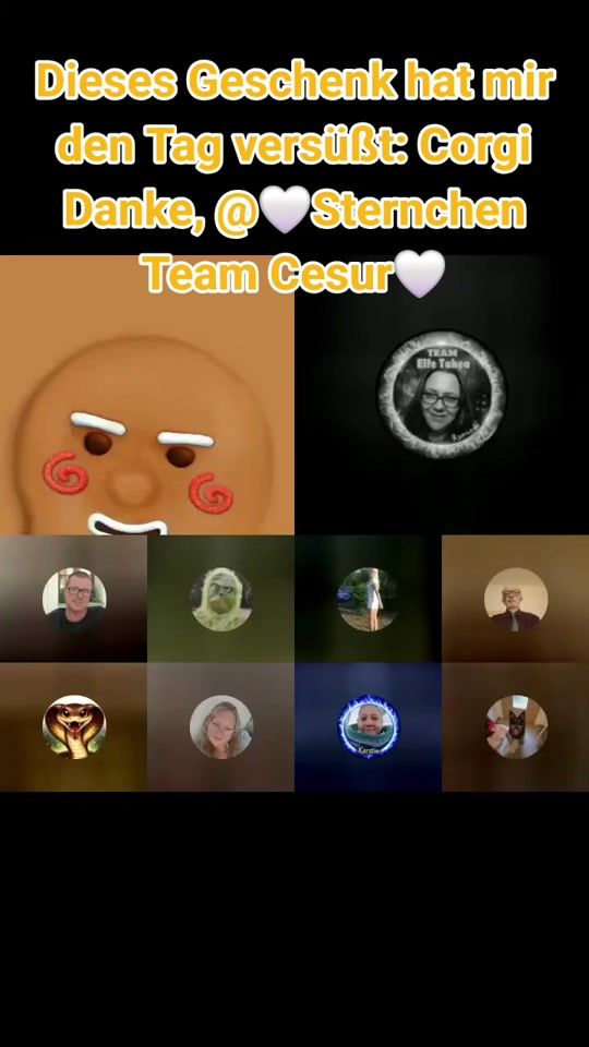 TikTok video thumbnail by sternzeichenloewen