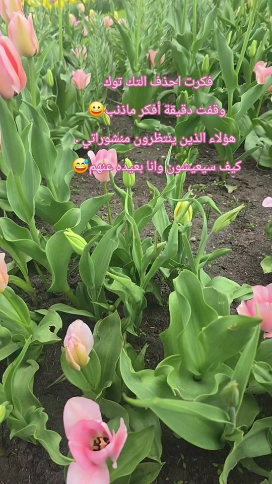TikTok video thumbnail by bintaleiraq