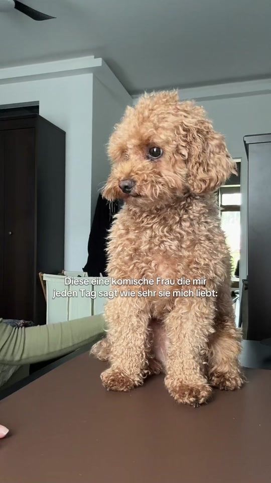 TikTok video thumbnail by pablo.puu