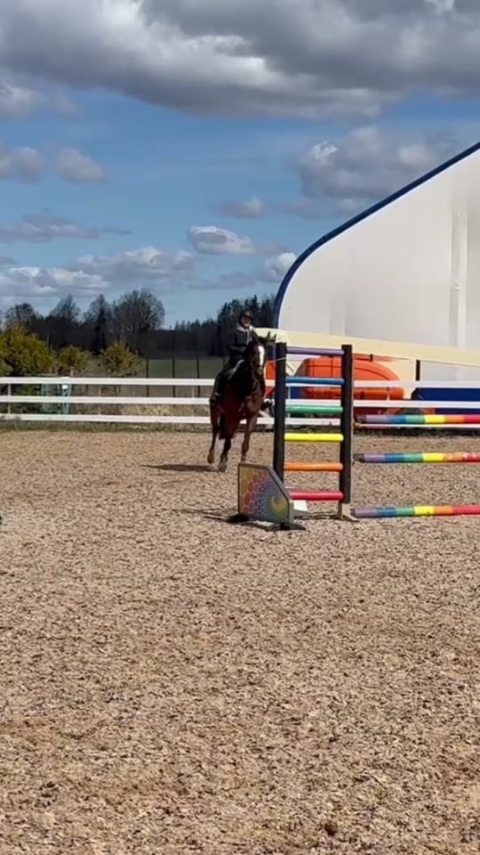 TikTok video thumbnail by lv.showjumping