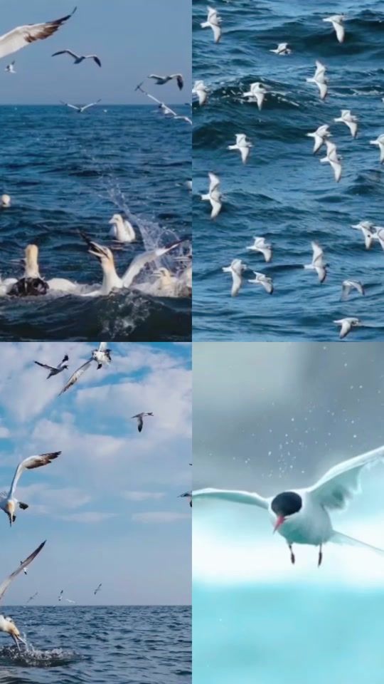 TikTok video thumbnail by iwona.andrzejewsk51
