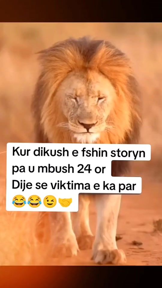 TikTok video thumbnail by melina_ina95