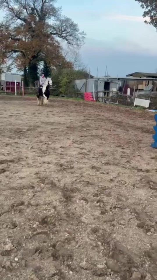 TikTok video thumbnail by skyeanimals24