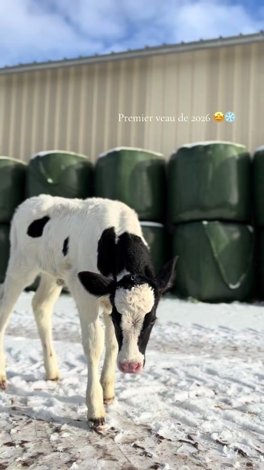 TikTok video thumbnail by marc_assin_off