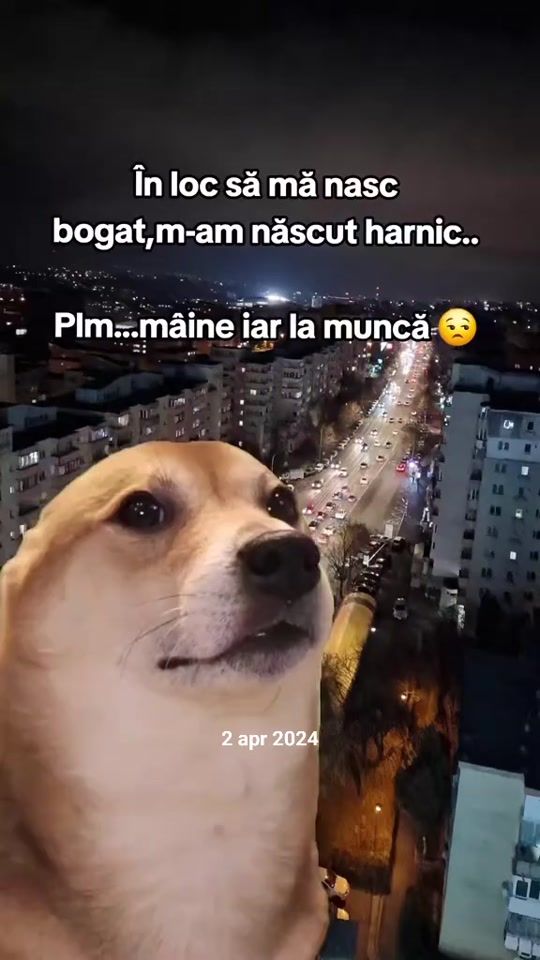TikTok video thumbnail by life_quotes12.06