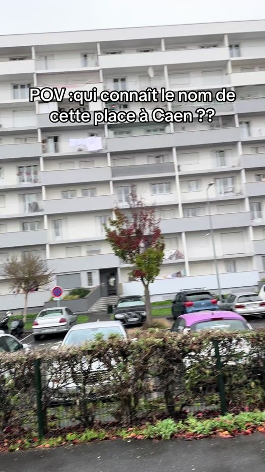 TikTok video thumbnail by microdecaen