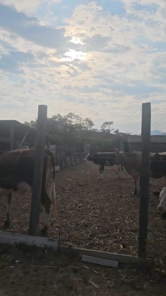 TikTok video thumbnail by aurabatz3