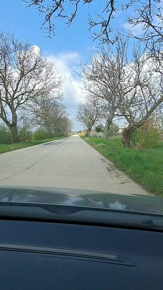TikTok video thumbnail by silviq199
