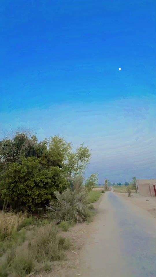 TikTok video thumbnail by alli_ajmal