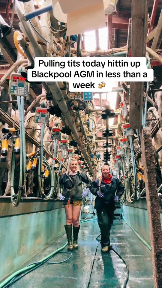 TikTok video thumbnail by danielle.hollandx