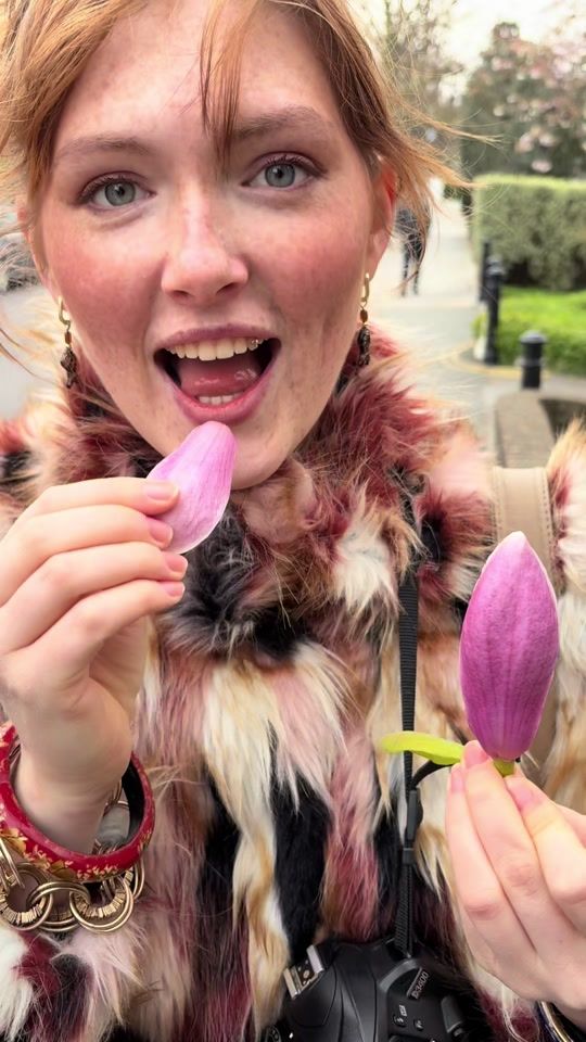 TikTok video thumbnail by humanwithboobies