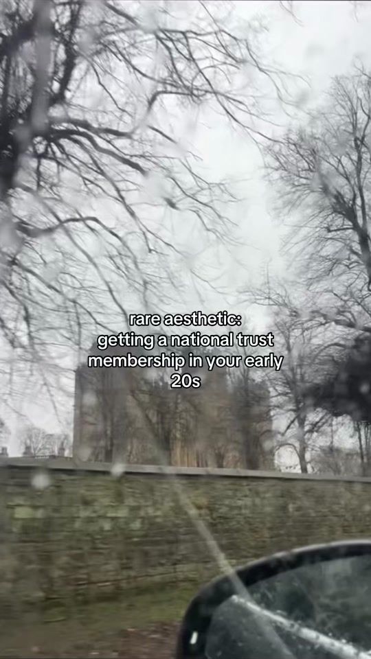 TikTok video thumbnail by historicelle