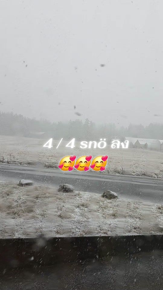 TikTok video thumbnail by alissoncat3705