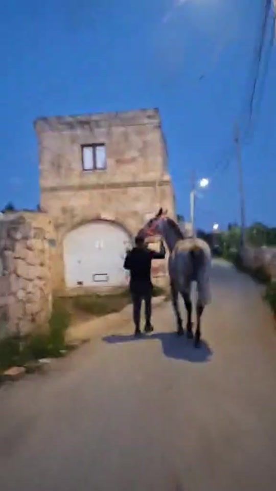 TikTok video thumbnail by juorgenportelli