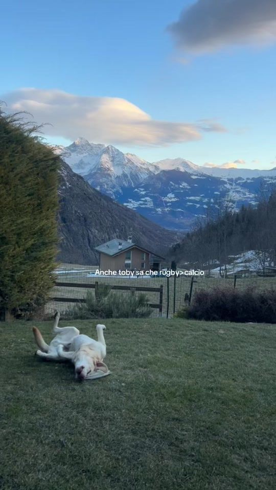 TikTok video thumbnail by beatricegarabello