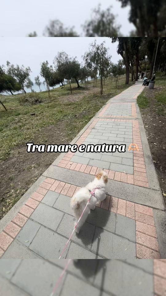 TikTok video thumbnail by chiarastella95