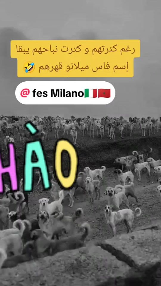 TikTok video thumbnail by fesmilano