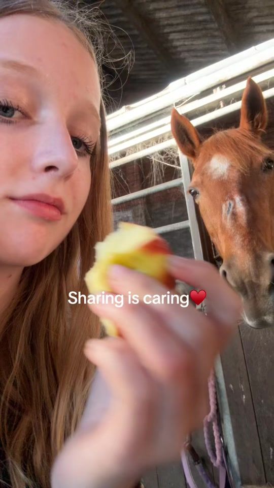 TikTok video thumbnail by equestrian_cecilie